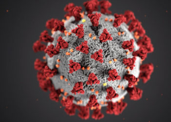 Picture of COVID Virus Grey with Red triangles sticking out