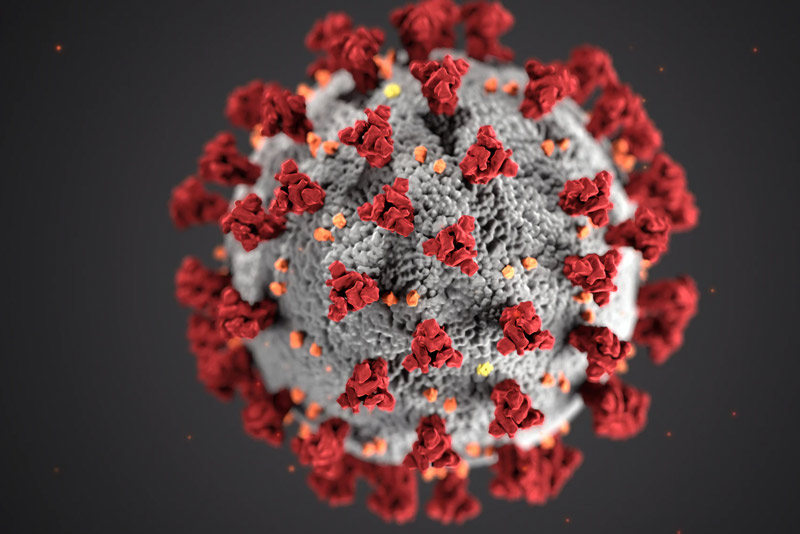 Picture of COVID Virus Grey with Red triangles sticking out