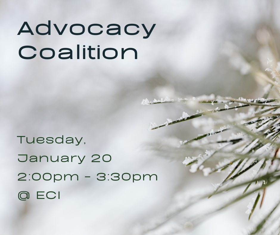 Flyer showing a close-up of pine needles dusted with ice crystals on the right side, blurred snow-gray tones behind them. On the left, text reads Text reads, "The Advocacy Coalition, Tuesday, January 20, 2:00pm - 3:30pm, ECI.