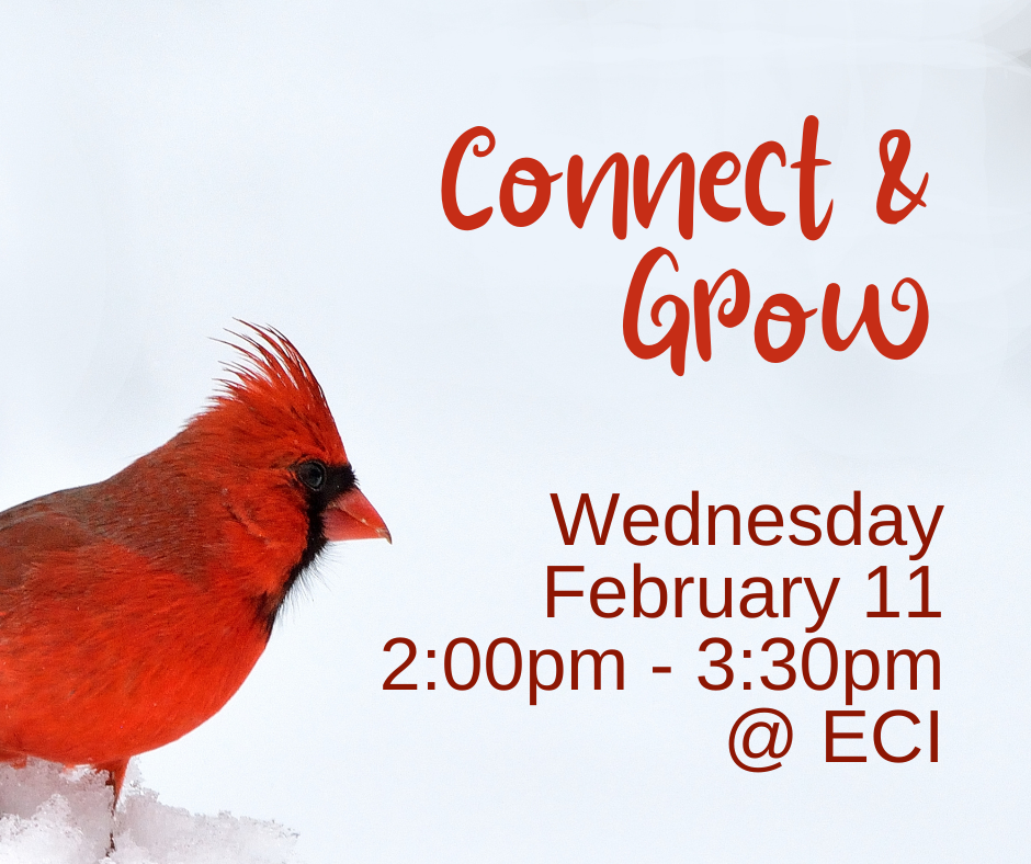 Snow bank with red cardinal perched. Text reads, "Connect & Grow, Wednesday, February 11, 2:00pm - 3:30pm, ECI.