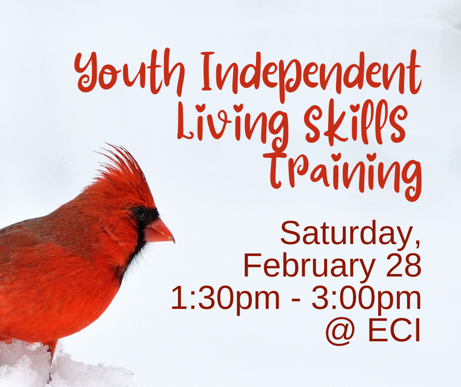 Snow bank with red cardinal perched. Text reads, "Youth Independent Living Skills Training, Saturday, February 28, 1:30pm - 3:00pm, ECI.